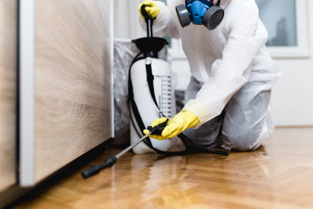 Best Exterminator Services  in Wyldwood, TX