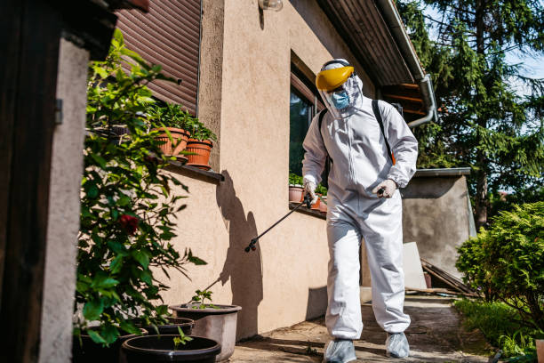 Best Flea Control Services  in Wyldwood, TX