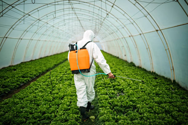 Best Commercial Pest Control Services  in Wyldwood, TX