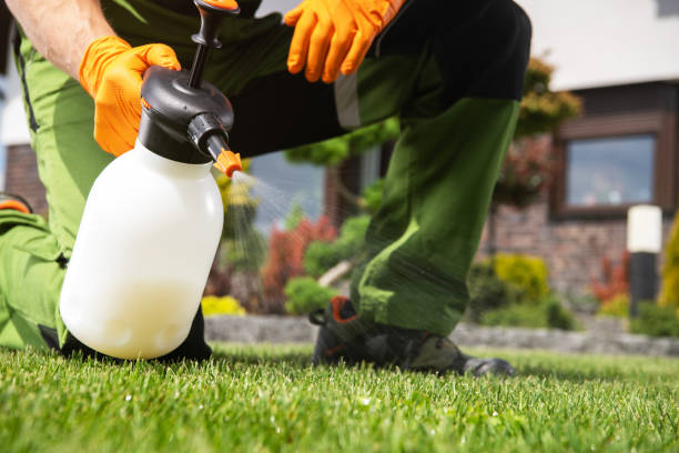 Best Bed Bug Extermination  in Wyldwood, TX