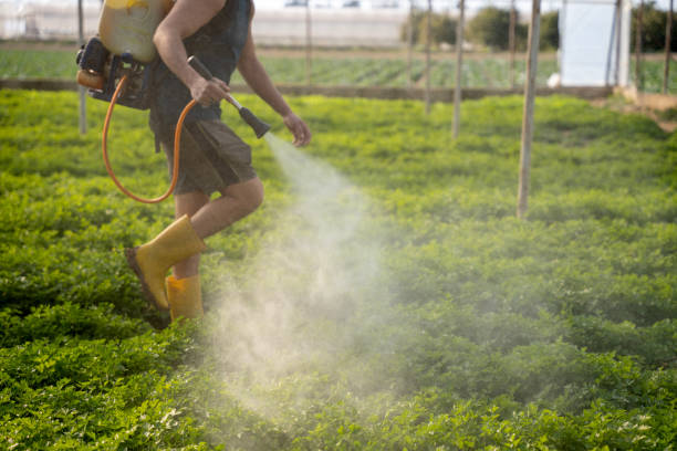 Best Affordable Pest Control Services  in Wyldwood, TX