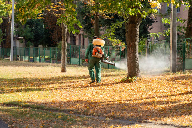 Best Pest Inspection Near Me  in Wyldwood, TX